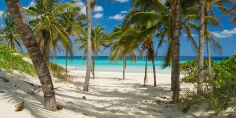 Last Minute in den Urlaub | DERTOUR