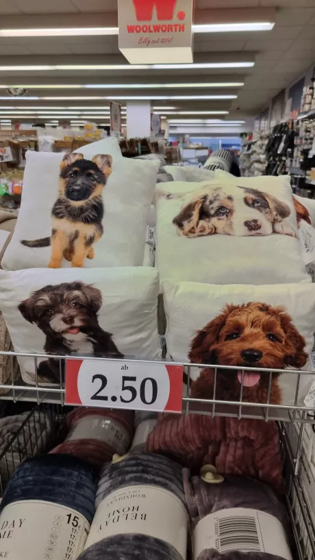 Hundekissen von Woolworth