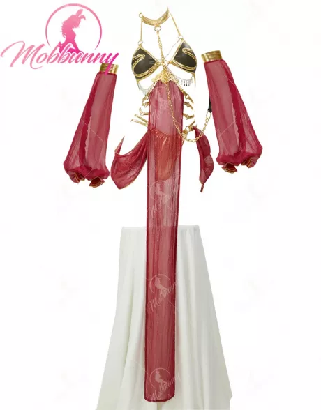 Cosplay Leia