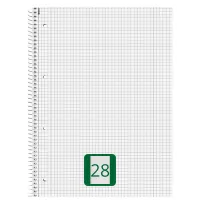 Collegeblock kariert, Lineatur 28, 80 Blatt | schulstart.de