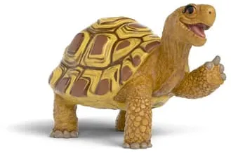 Schleich 14910 - Die Schule der magischen Tiere - Henrietta die Schildkröte